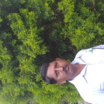 Advocate photo
