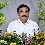 Advocate photo